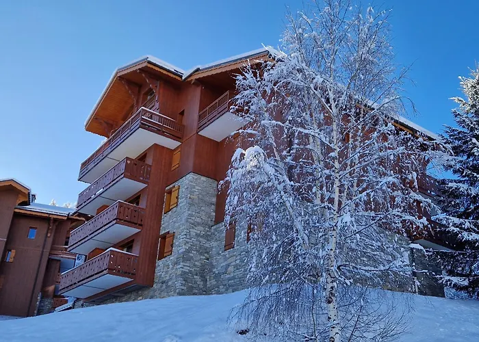 4 Pers Au Pied Des Pistes, Animaux Admis - Fr-1-755-36 *