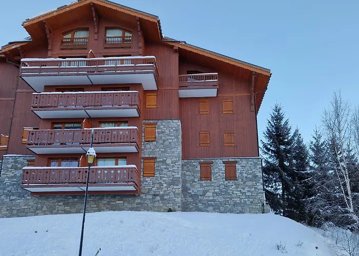 4 Pers Au Pied Des Pistes, Animaux Admis - Fr-1-755-36 Apartment La Plagne